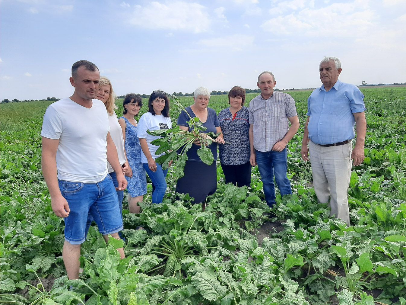 Польові дослідження на стрес: як за середніх затрат домогтися успішного господарювання